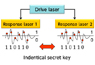 (2) Information theory security using common signal-induced synchronization